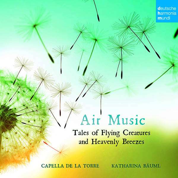 Cover: Air Music